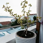 By The Sea Komarna, Neretva Delta - Usce Neretve - 21938 Apartman